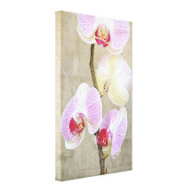 Orchid Flowers Canvas Gallery Wrap Canvas