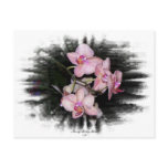 Orchid Frame 1 Post Card