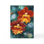 Orchid Greeting Card