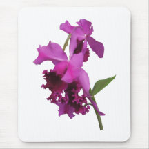 Orchid Harold Carls Mousepads