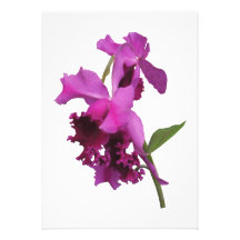 Orchid Harold Carls Personalised Invites