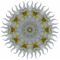 Orchid Kaleidoscope Acrylic Ornament Photo Sculptures