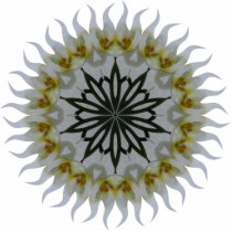 Orchid Kaleidoscope Acrylic Ornament Photo Sculpture