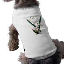 Orchid Laelia Albida, var Rosea Dog T Shirt