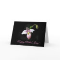Orchid Mother's Day Greeting Card