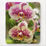 Orchid Mouse Pad