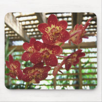 Orchid Mouse Pad