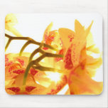 Orchid mousepads