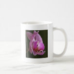Orchid Mugs