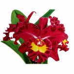 Orchid Oil on Canvas Sculptures photo sculptures