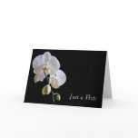 Orchid on Black Just a Note Card