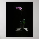 Orchid on Black print