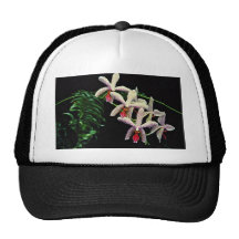 Orchid phalenopsis (Vivian)  flowers Mesh Hat