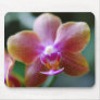 Orchid Photography Mouse Pads
