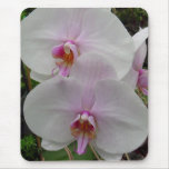 Orchid - Pink Blossom (Colossians 2:3) Mousemats