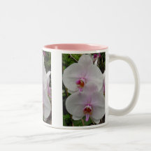Orchid - Pink Blossom (Colossians 2:3) Mugs