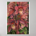 ORCHID posters