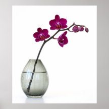 Orchid Print