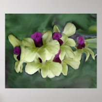 Orchid Print