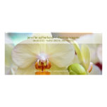 Orchid • Save the Date Announcement