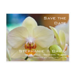 Orchid • Save the Date Card postcards