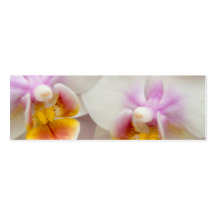 Orchid • Save the Date Mini Card Business Card Template