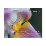 Orchid • Save the Date Postcard