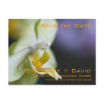 Orchid • Save the Date Postcard