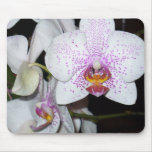 Orchid Sensation mousepads