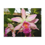Orchid Seven Postcard