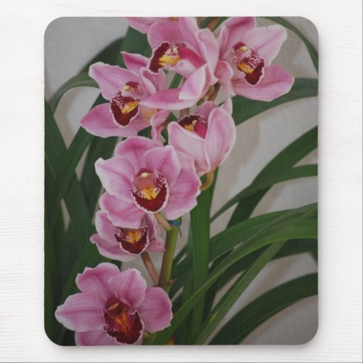 Orchid Spray Mousepad