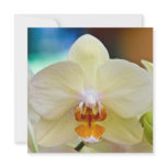 Orchid • Square Card / Invitation