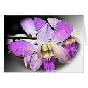 Orchid-Stylised cards