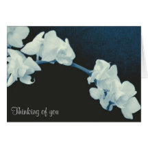 Orchid Sympathy Card
