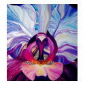 Orchid Tank Top t-shirts