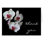 orchid thank you greeting cards