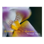 Orchid • Thank You Postcard