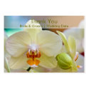 Orchid • Wedding Favour Tag business cards