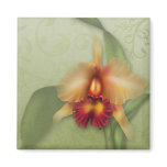 Orchid Whispers magnets