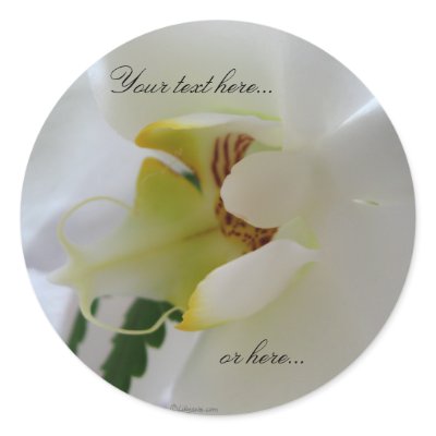 Orchid White Flower Stickers / Wedding Stickers by naturalilly