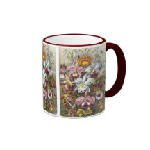 Orchidae (Orchids), Ernst Haeckel Mug
