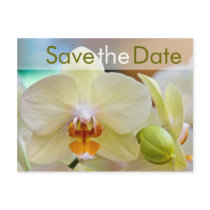 Orchidee • Save the Date Postkarte Postcard