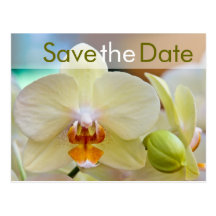 Orchidee • Save the Date Postkarte Postcard