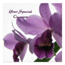 Orchids All-Occasion Invites