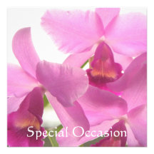 Orchids All-Occasion Invites/