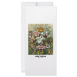Orchids (Artforms Of Nature) rack cards