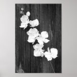 Orchids & Barnwood Print