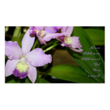 Orchids business cards