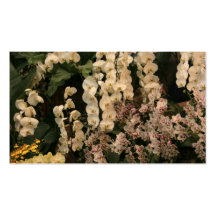 Orchids Business Cards