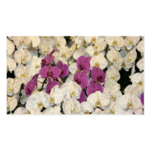 Orchids Business Cards